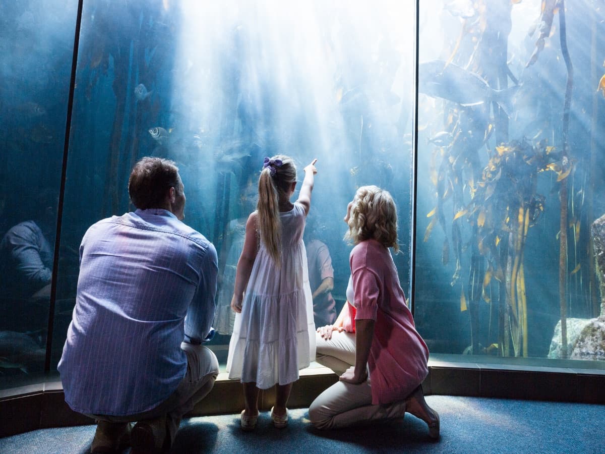 A family watching the fish at an aquarium