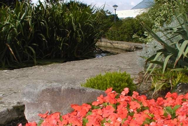 Southsea Rock GardenS - Image 2