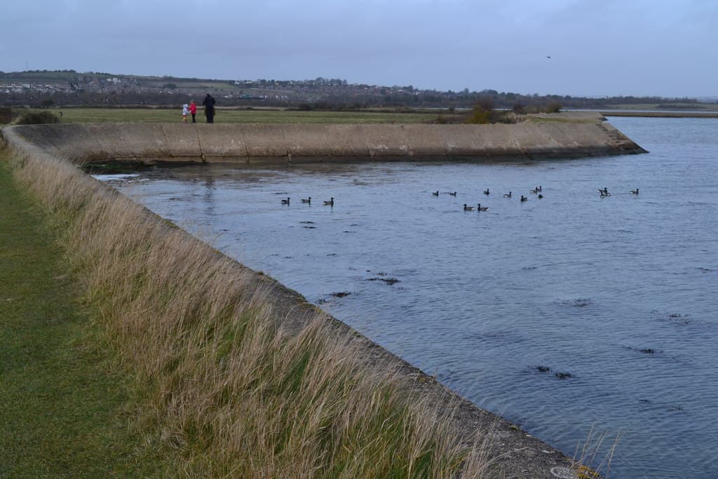 Farlington Marshes Nature Reserve - Main view