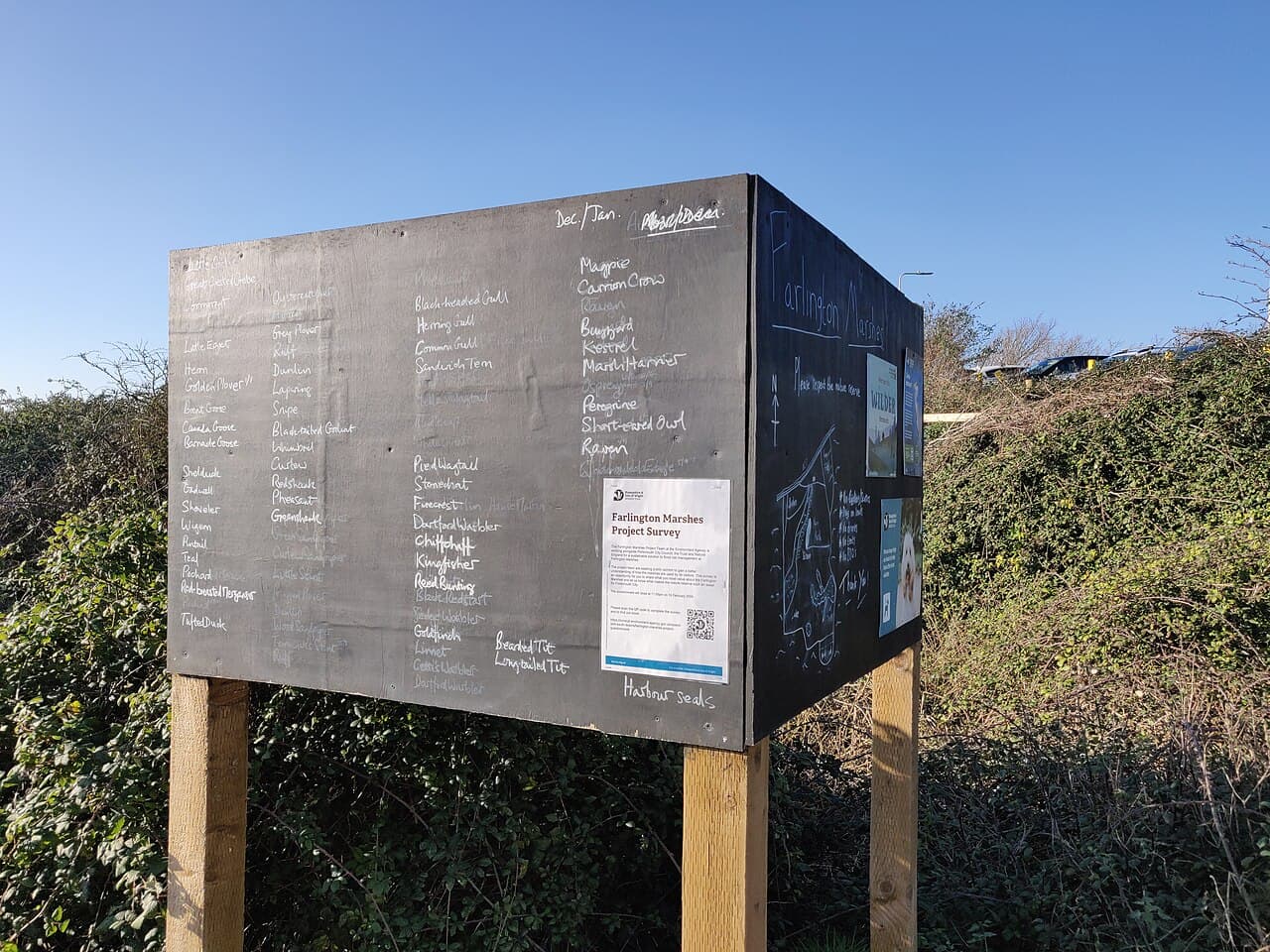 Farlington Marshes Nature Reserve - Image 3