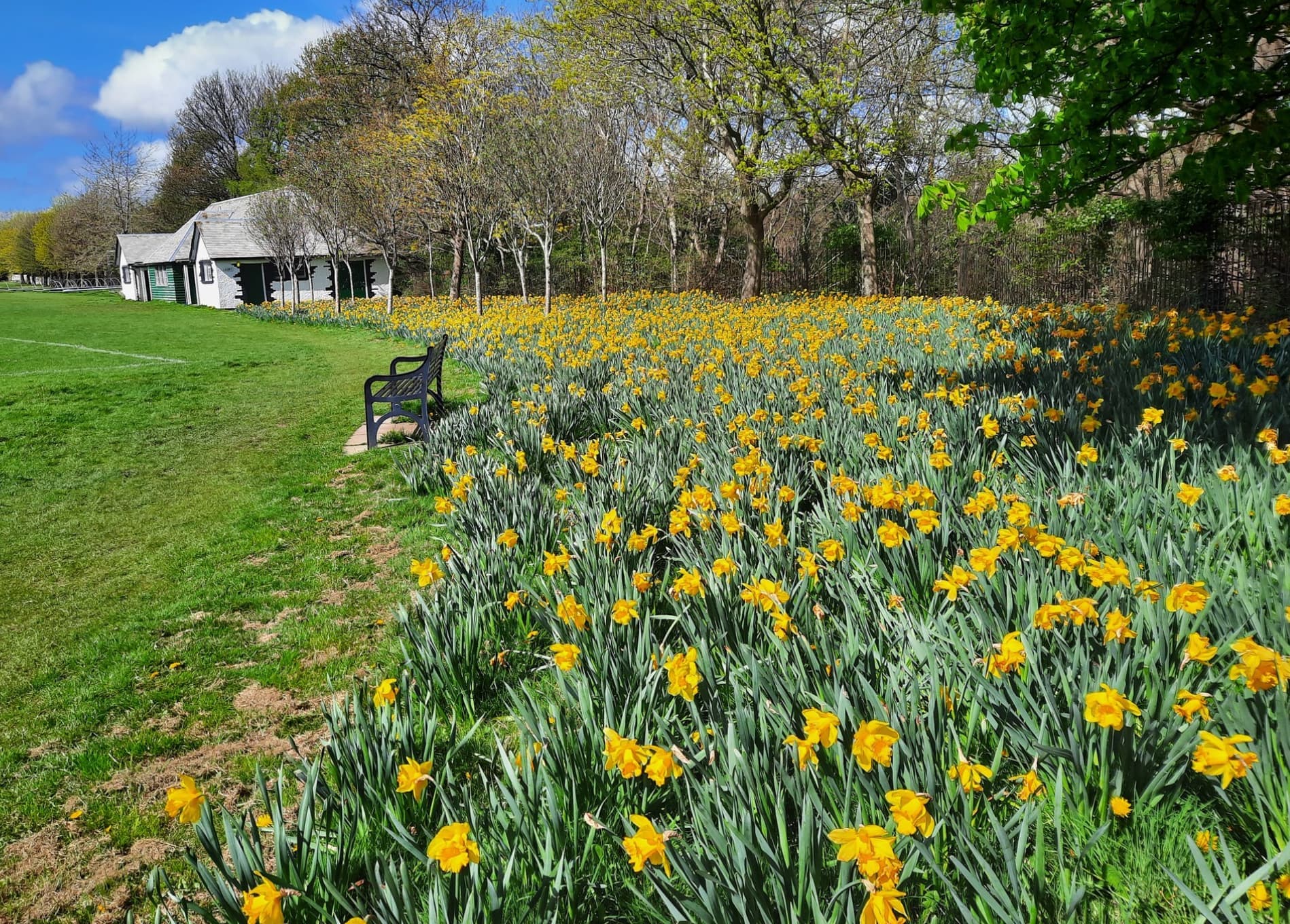 Campbell Park - Image 2
