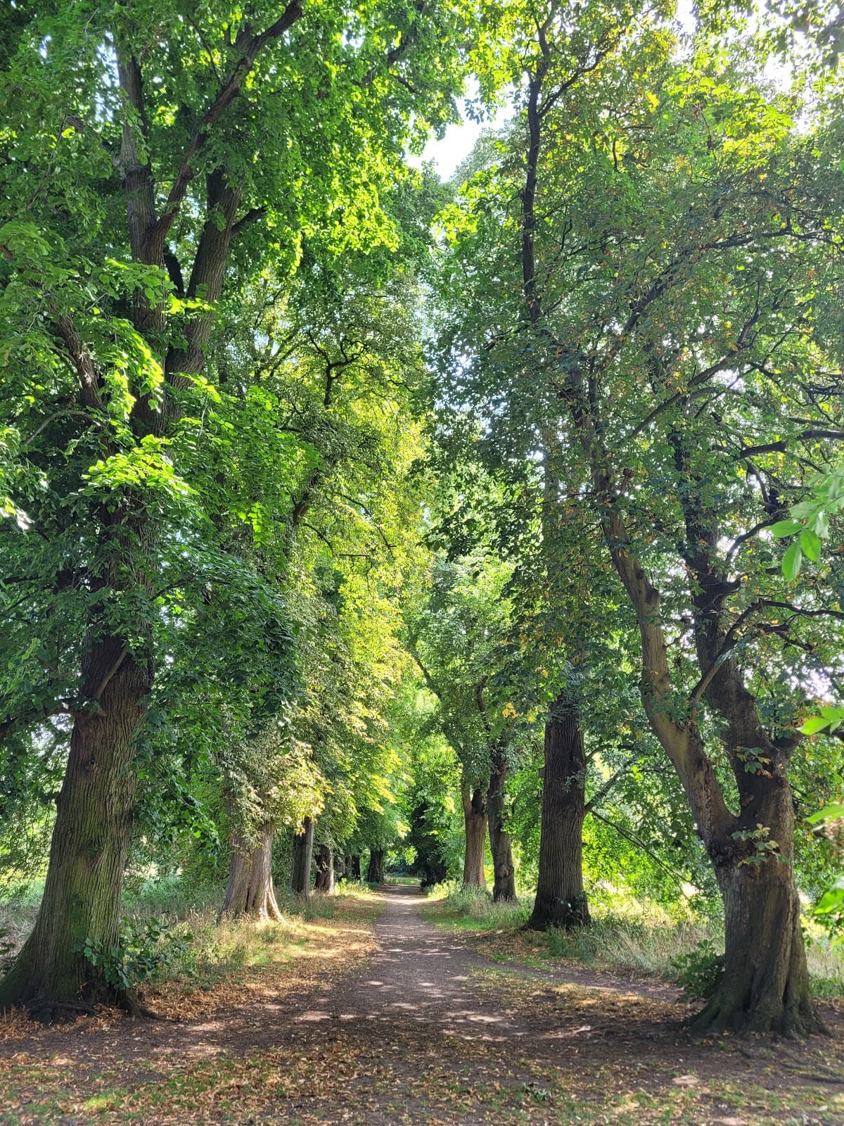 East Town Park - Image 3