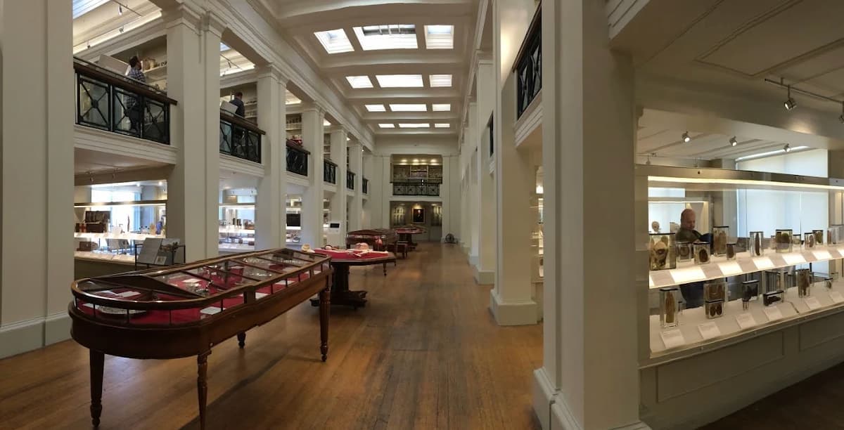 Surgeons' Hall Museums - Image 2