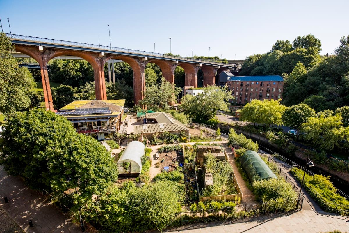 Ouseburn Farm Charity Ltd - Image 2