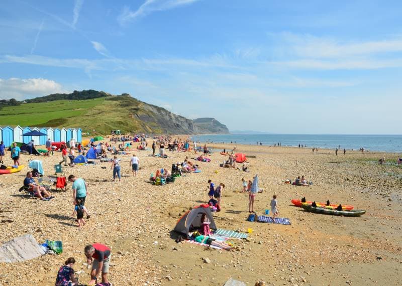 Charmouth Heritage Coast Centre - Main view