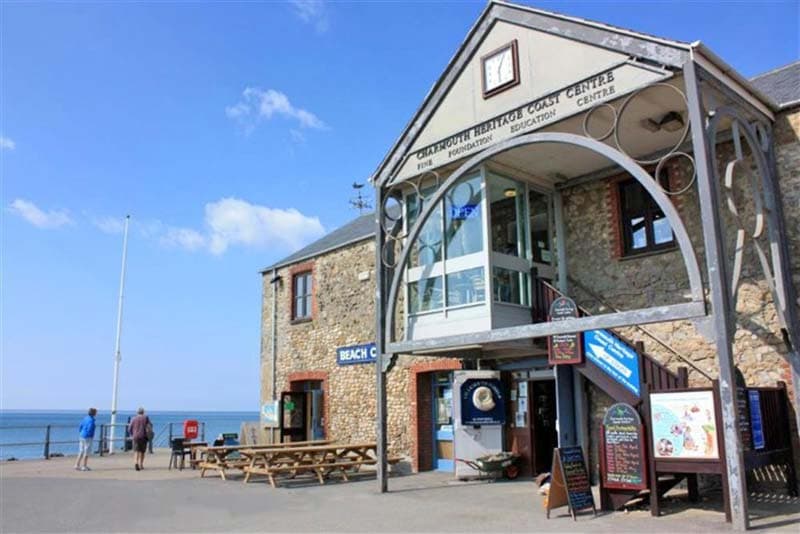 Charmouth Heritage Coast Centre - Image 2