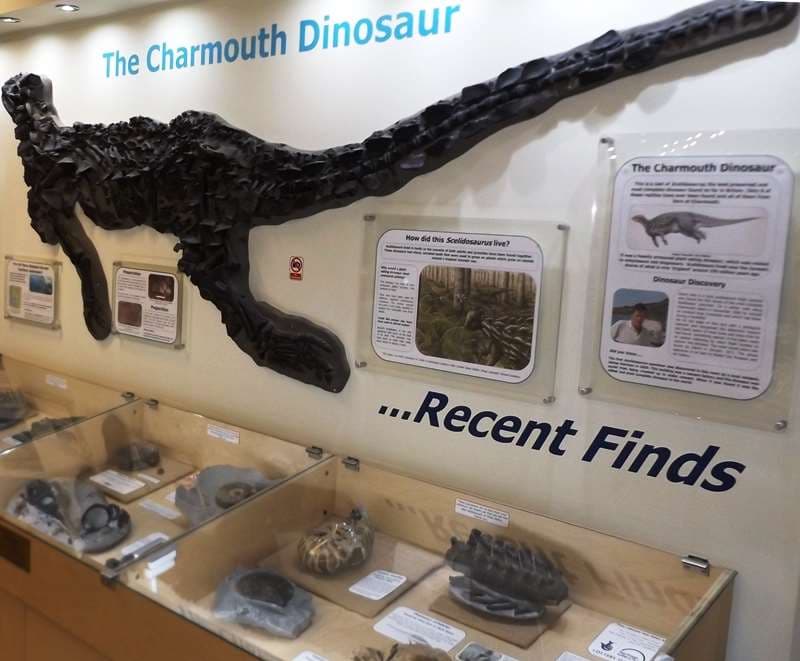 Charmouth Heritage Coast Centre - Image 3
