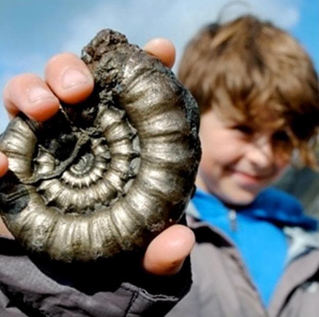 Charmouth Heritage Coast Centre - Image 4