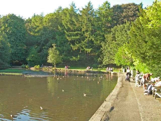 Forge Dam Park - Main view