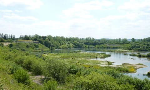 College Lake Nature Reserve - Main view