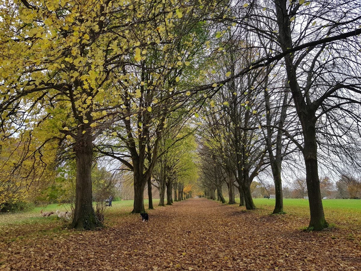 Farnham Park - Main view