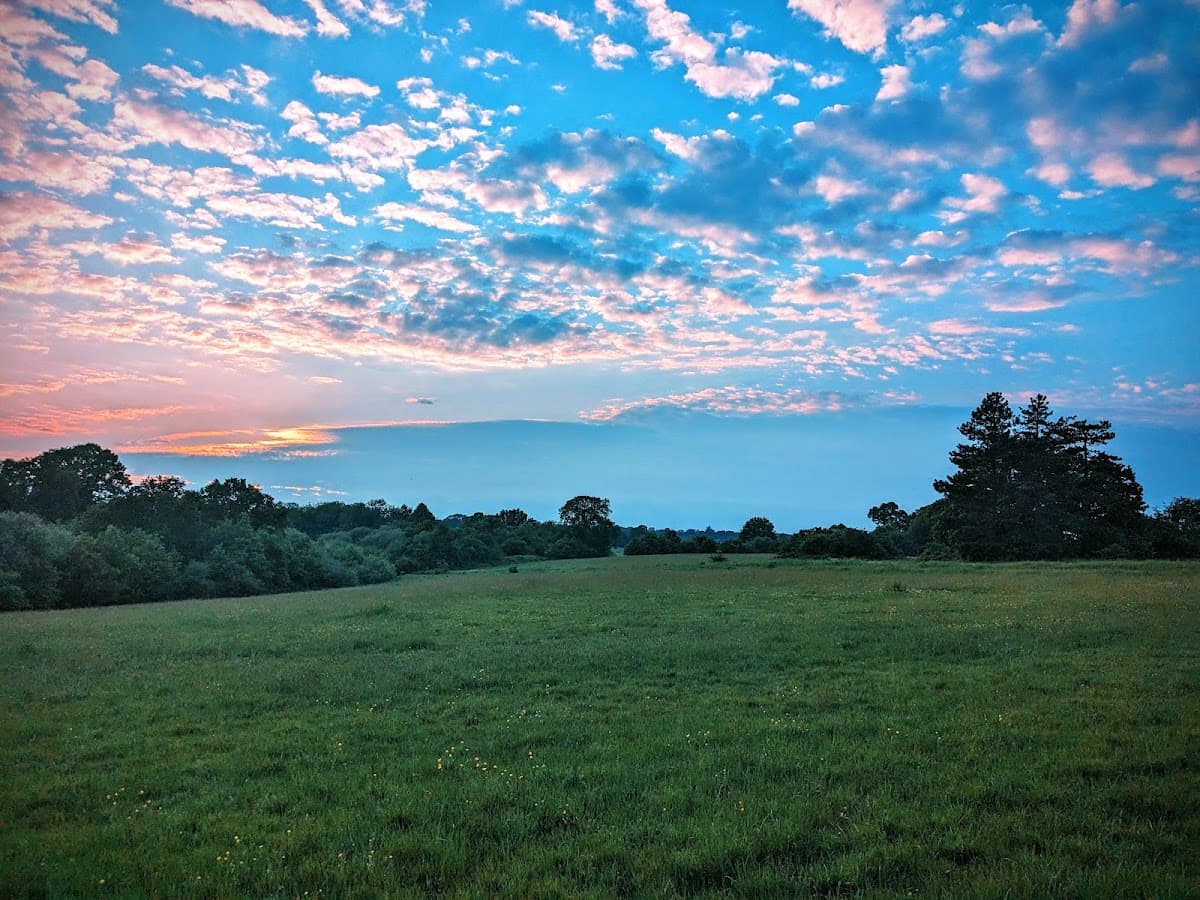 Farnham Park - Image 3