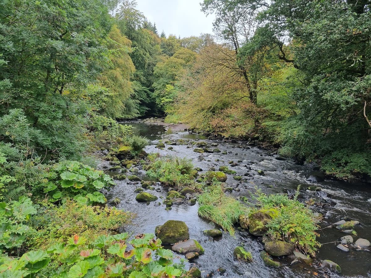 Carron Glen Wildlife Reserve - Main view