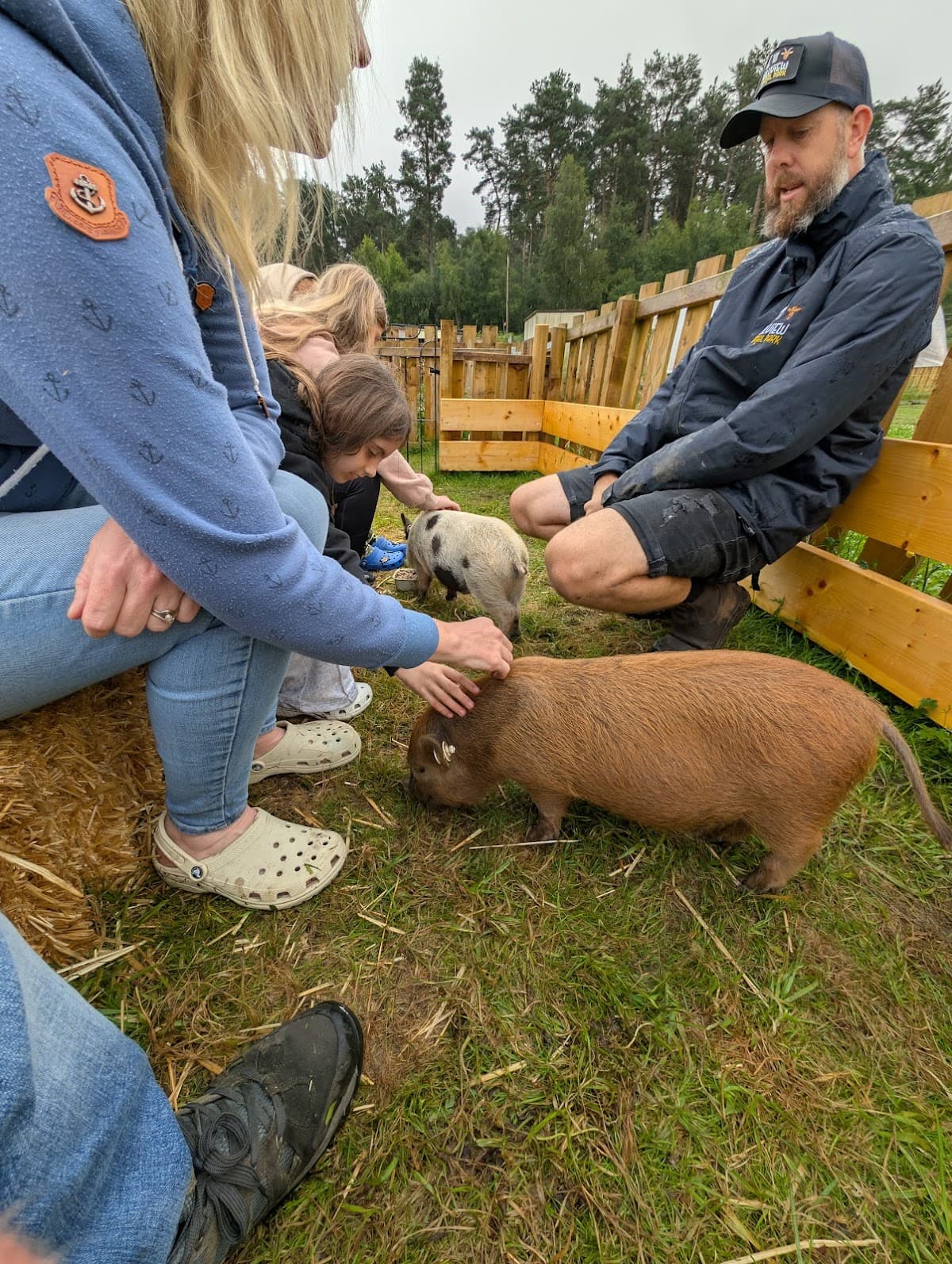 Hillview Animal Park - Image 5