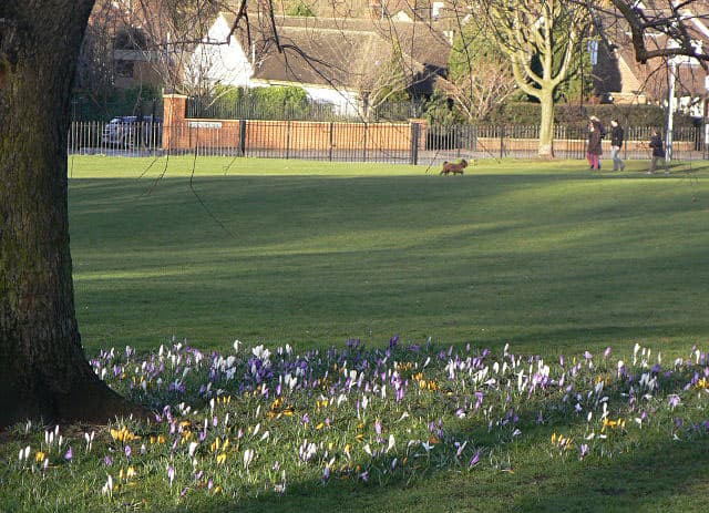 Woodthorpe Grange Park - Image 2