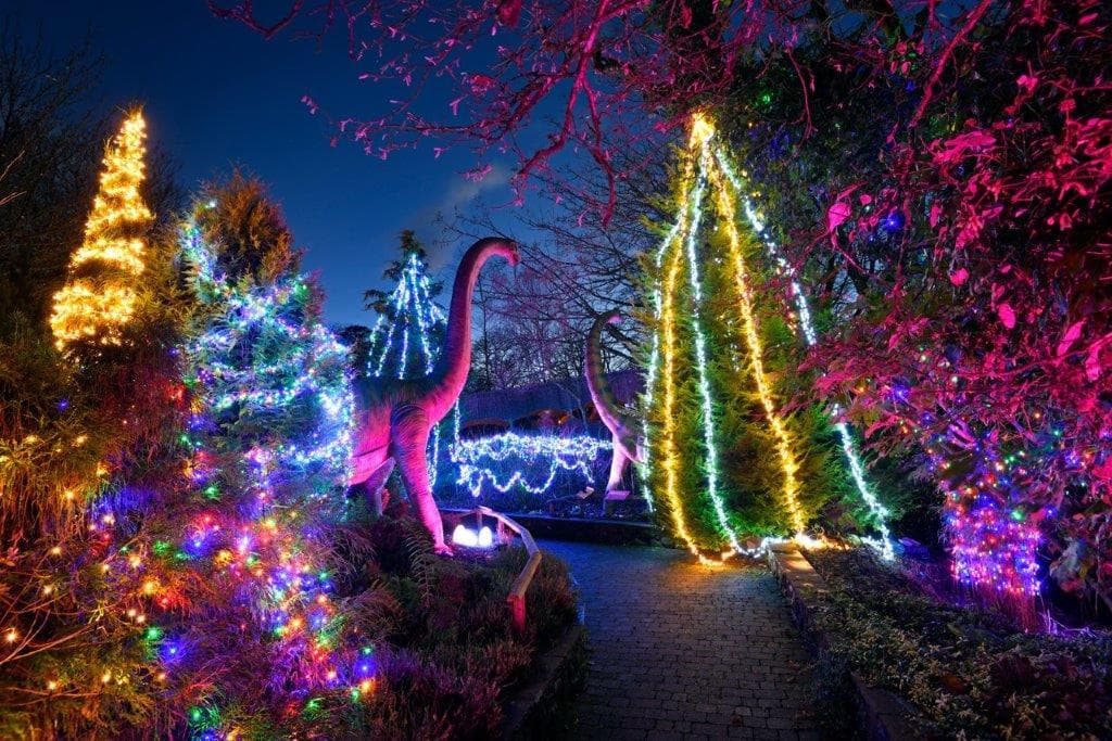 Dino Park at Hetland