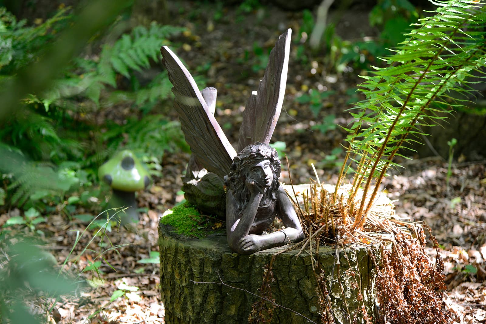 Dino Park at Hetland - Image 4