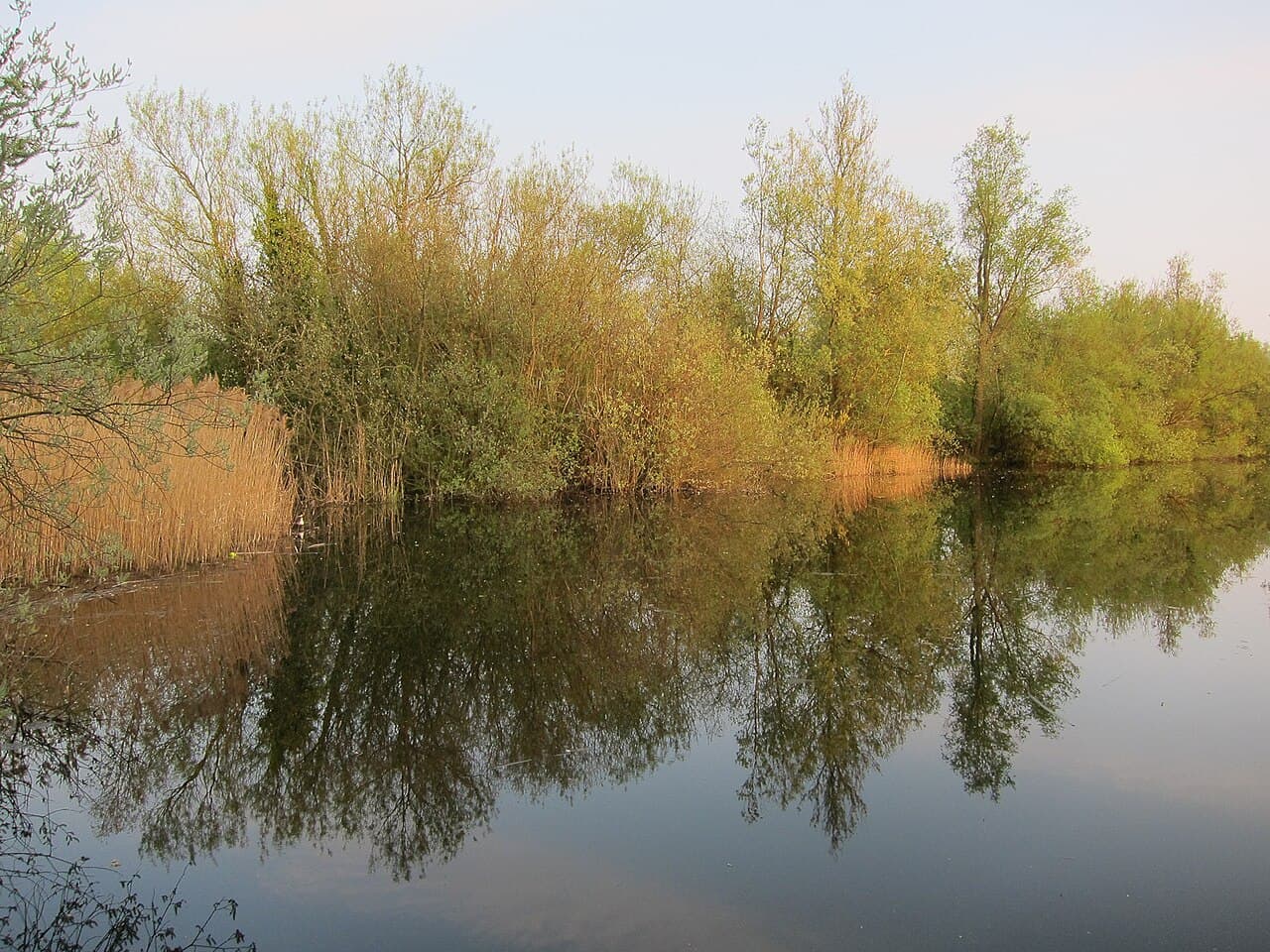 Milton Country Park - Image 3
