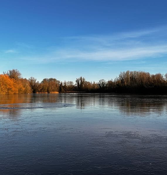 Milton Country Park - Image 4