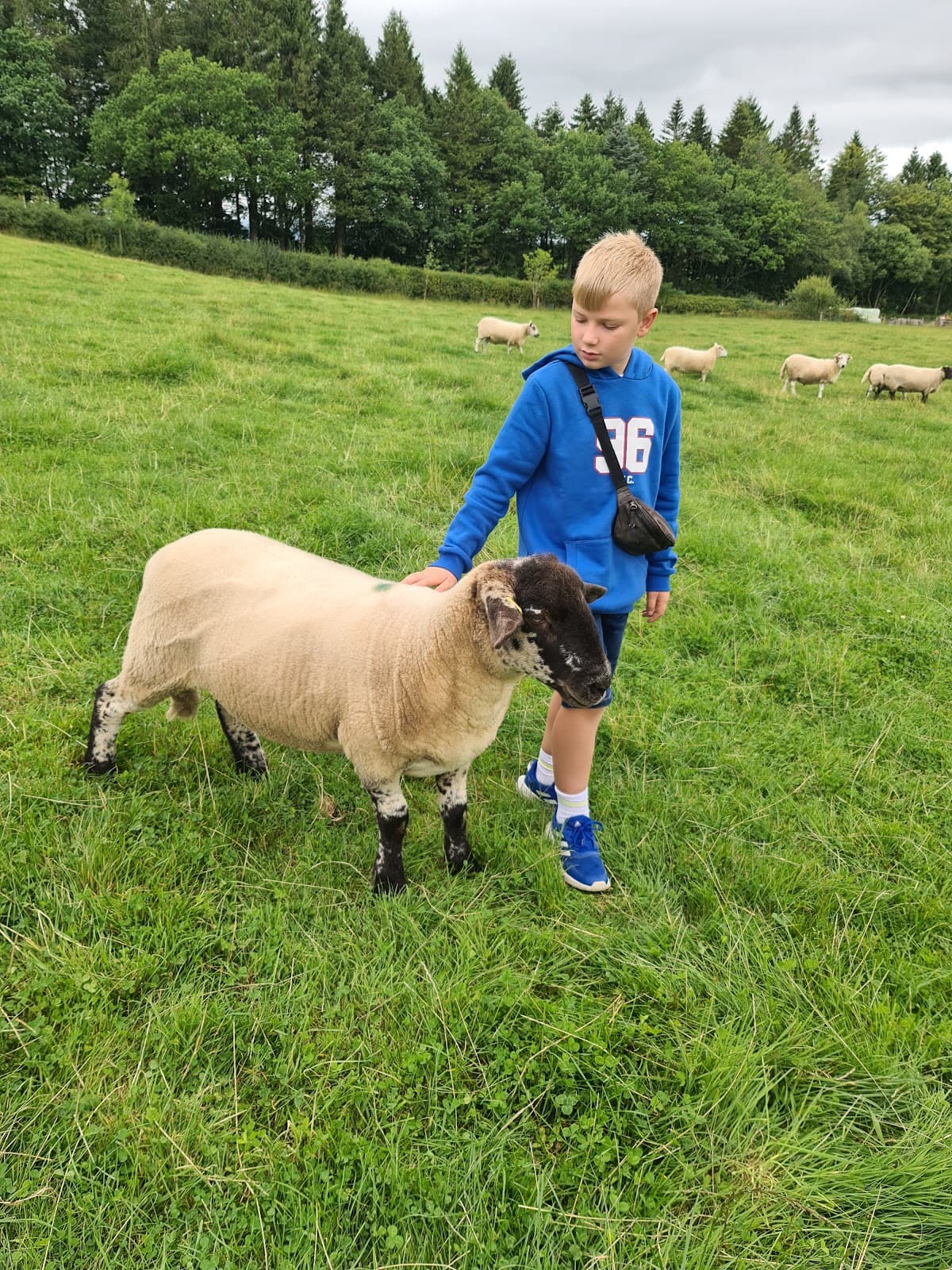 Mossburn Animal Centre - Image 2
