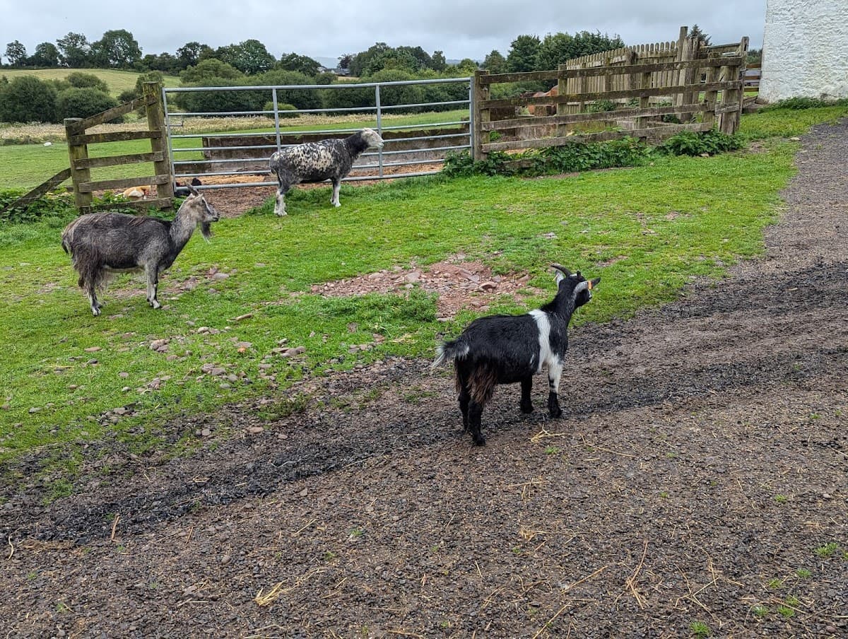 Mossburn Animal Centre - Image 3