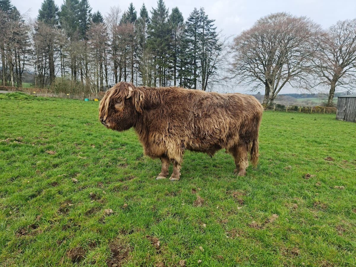 Mossburn Animal Centre - Image 4
