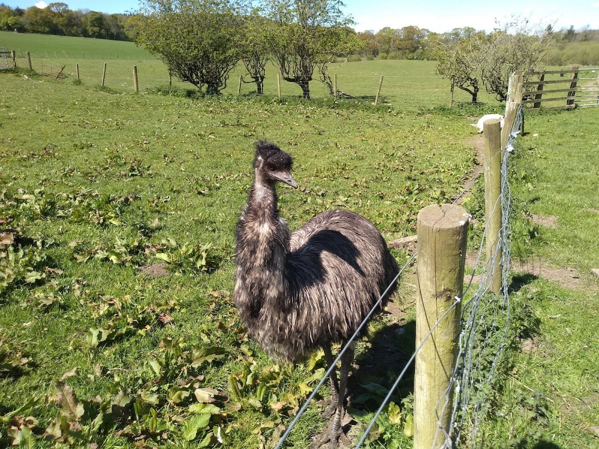 Mossburn Animal Centre - Image 5