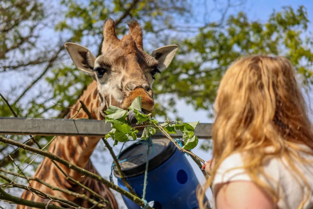 Paignton Zoo Environmental Park - Main view