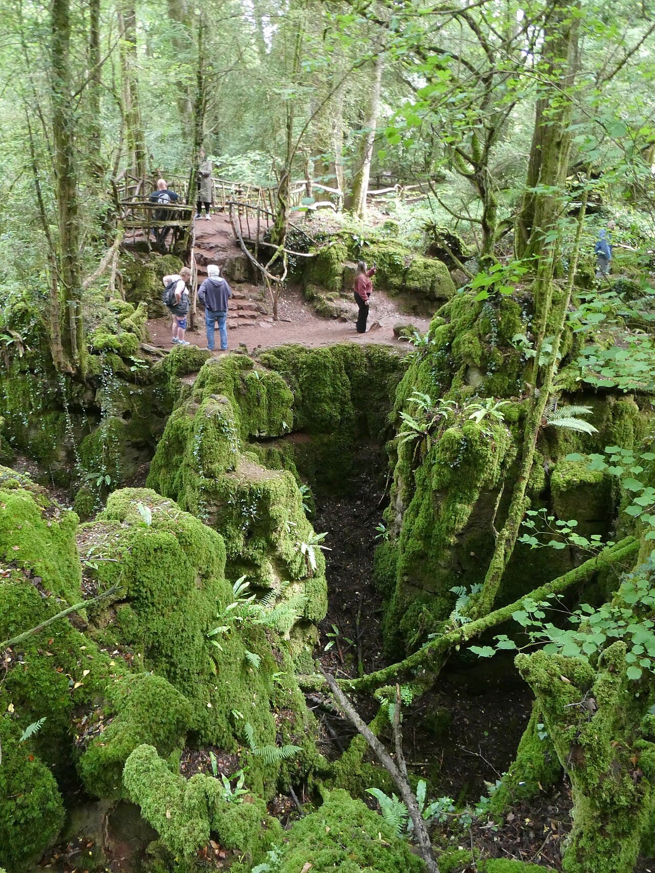 Puzzlewood - Main view