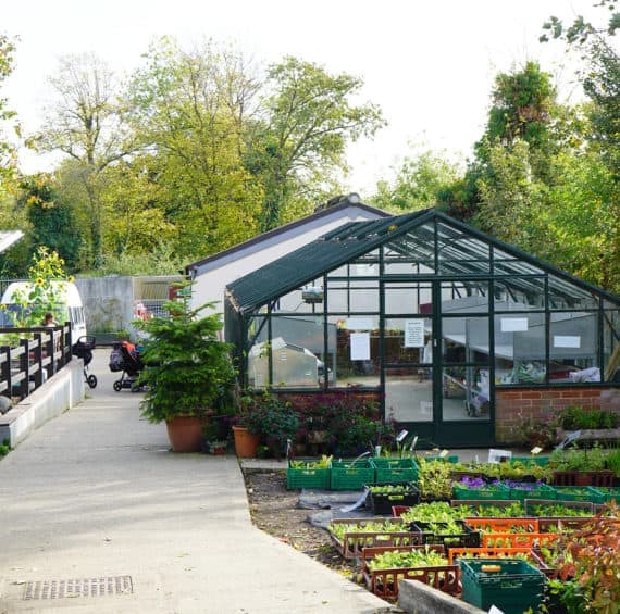 Crystal Palace Park Farm - Main view
