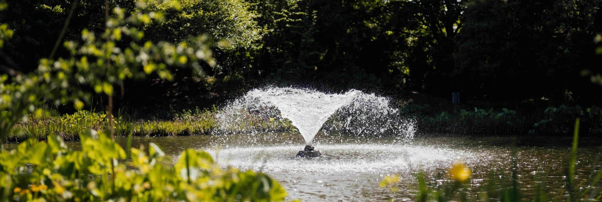 Crystal Palace Park Farm - Image 2
