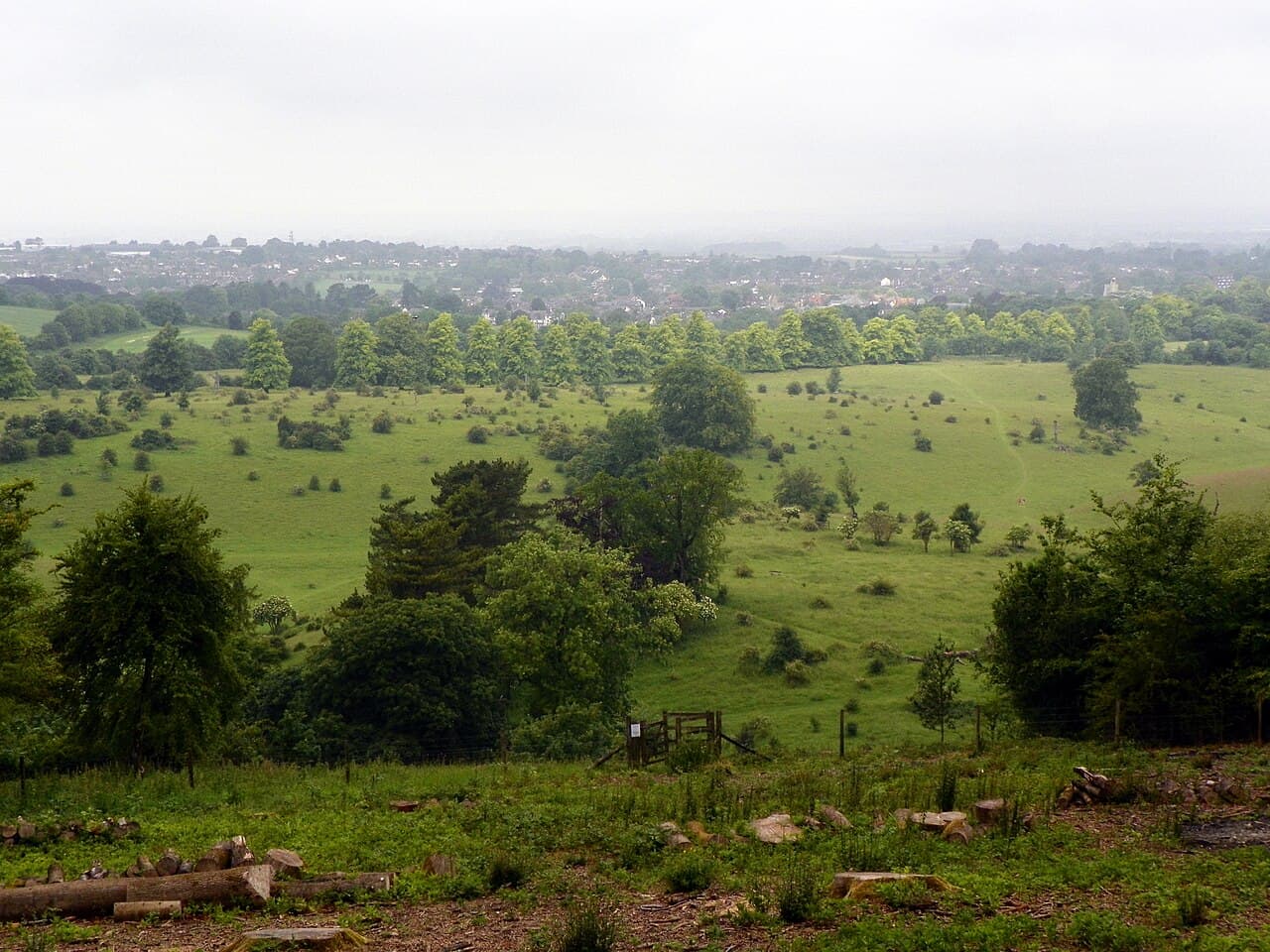 Tring Park - Main view