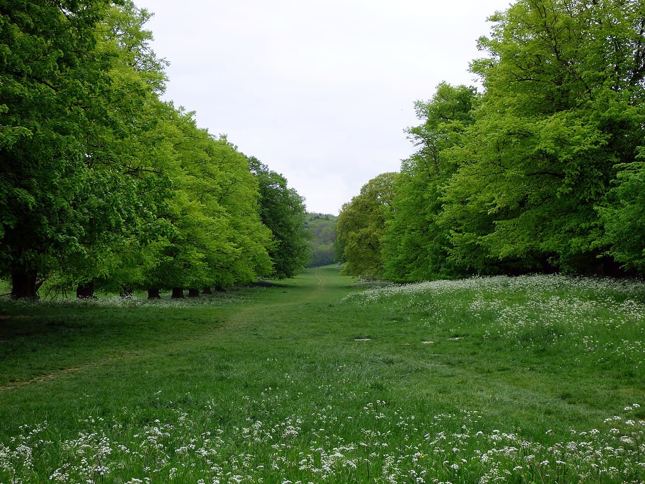 Tring Park - Image 2