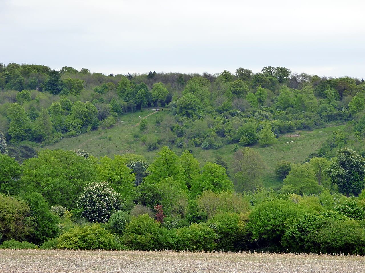 Tring Park - Image 3