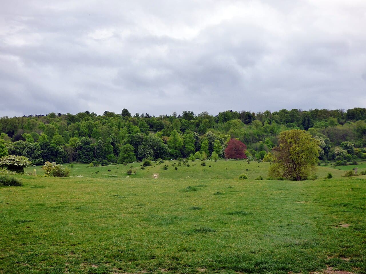 Tring Park - Image 4