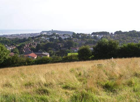 Burton Riggs Nature Reserve - Image 2