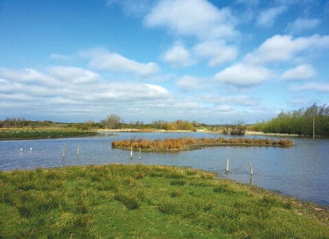 Burton Riggs Nature Reserve - Image 4