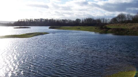 Burton Riggs Nature Reserve - Image 5