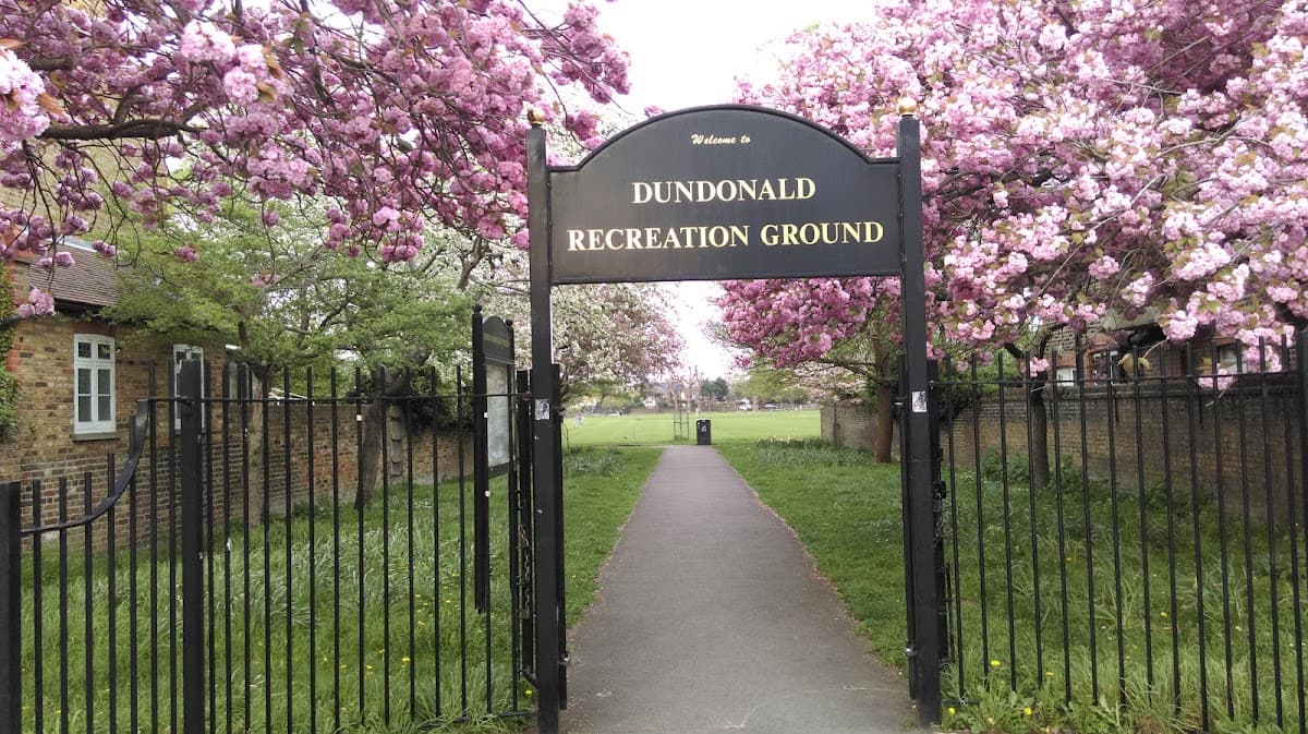 Dundonald Recreation Ground - Image 1
