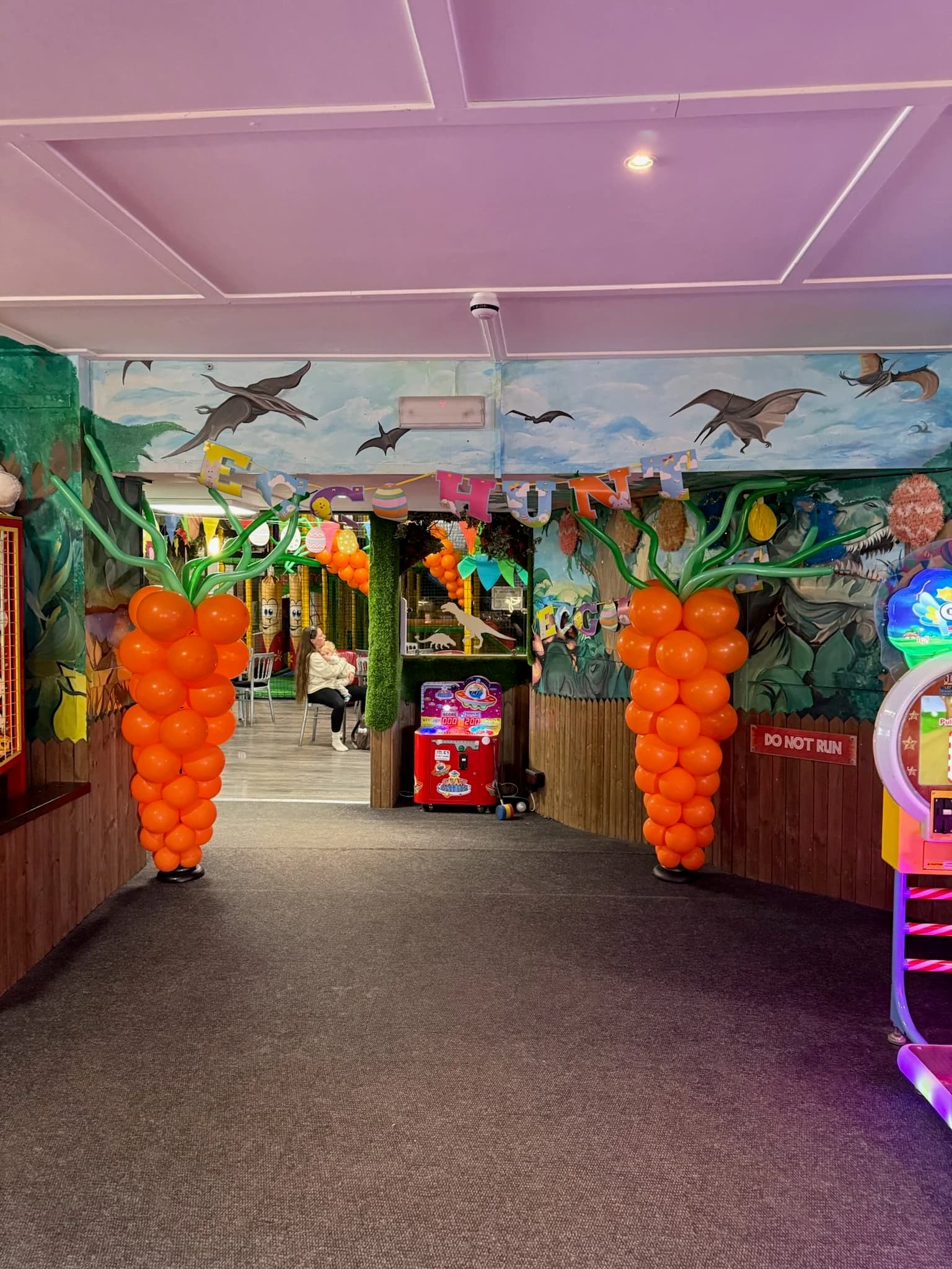 RYE-ASSIC Soft Play Park - Main view