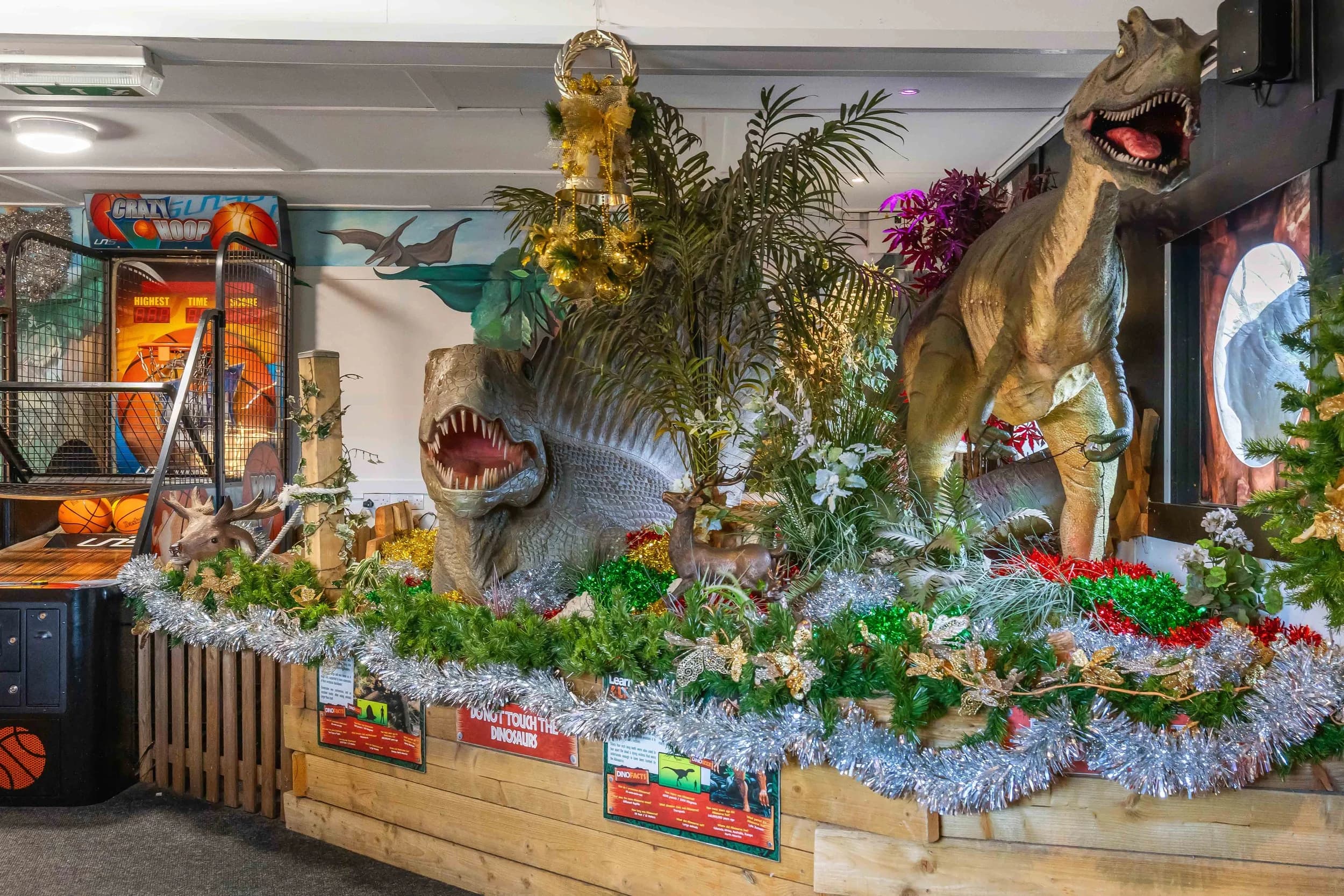 RYE-ASSIC Soft Play Park - Image 5
