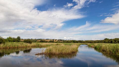 Westhay Moor National Nature Reserve - Main view