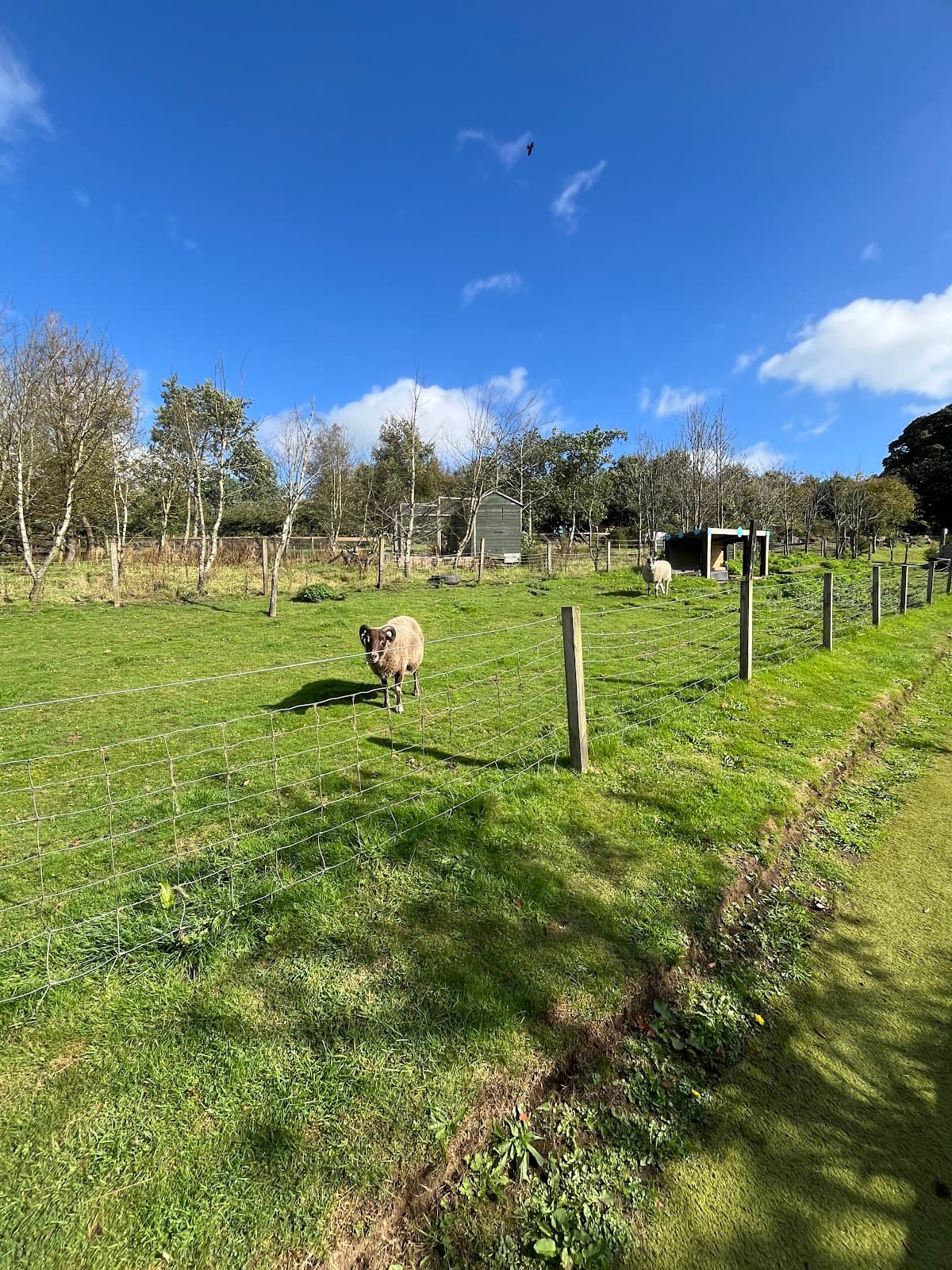 Cloybank - Image 4