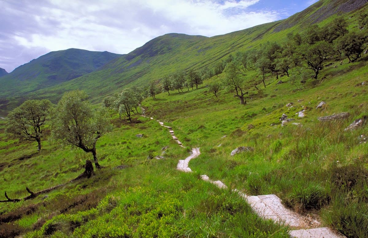 Creag Meagaidh National Nature Reserve - Image 2