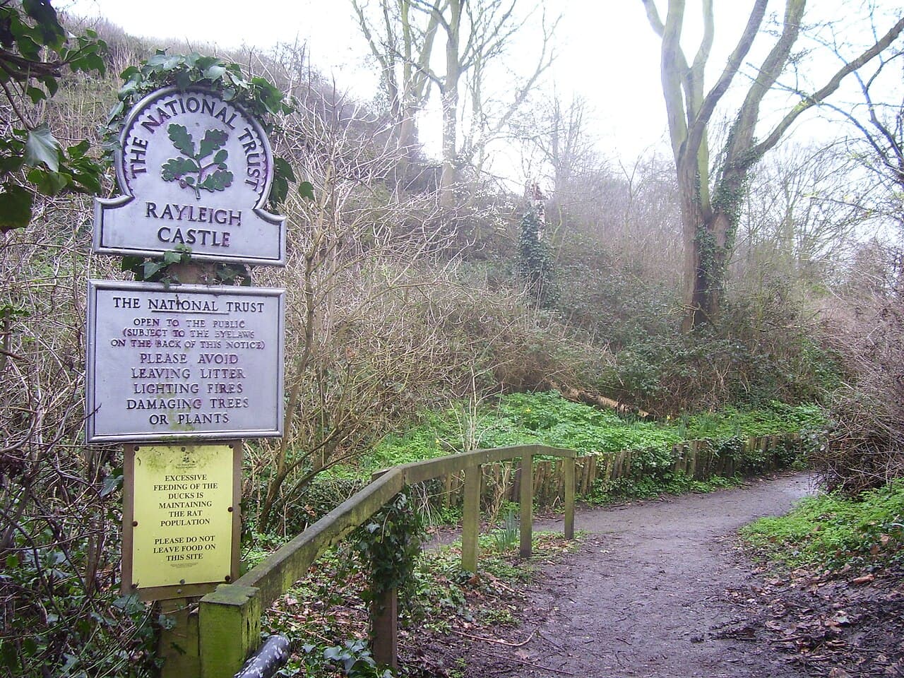 National Trust - Rayleigh Mount - Image 4