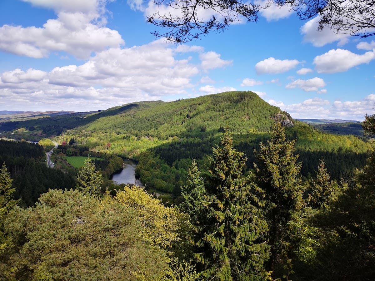 Tay Forest Park - Main view