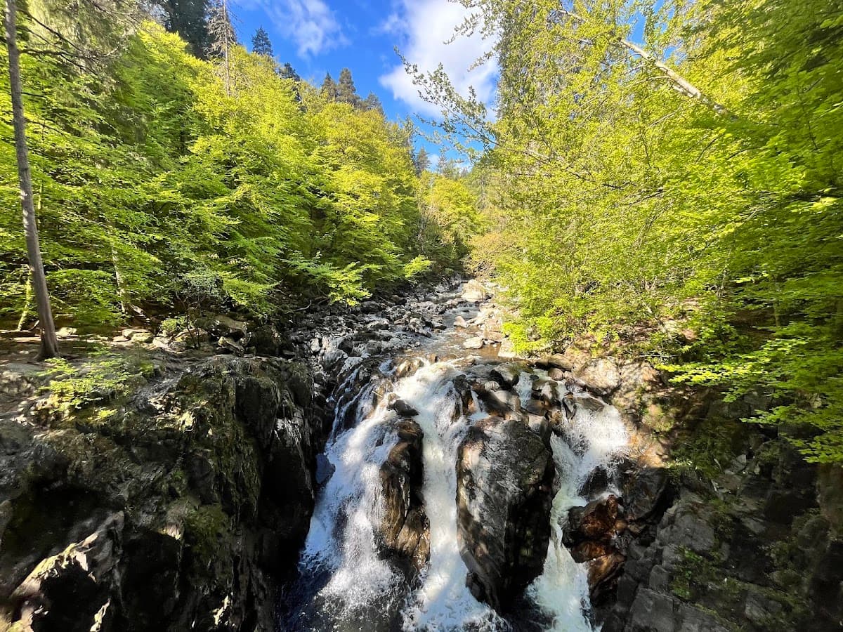 Tay Forest Park - Image 2