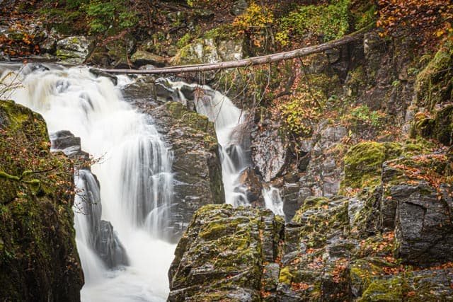 Tay Forest Park - Image 3