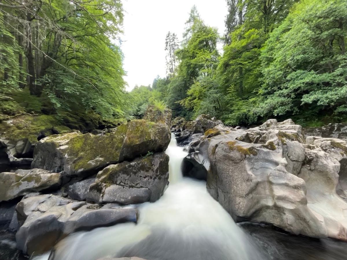 Tay Forest Park - Image 5