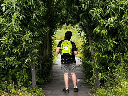 Idle Valley Nature Reserve (Nottinghamshire Wildlife Trust) - Image 2